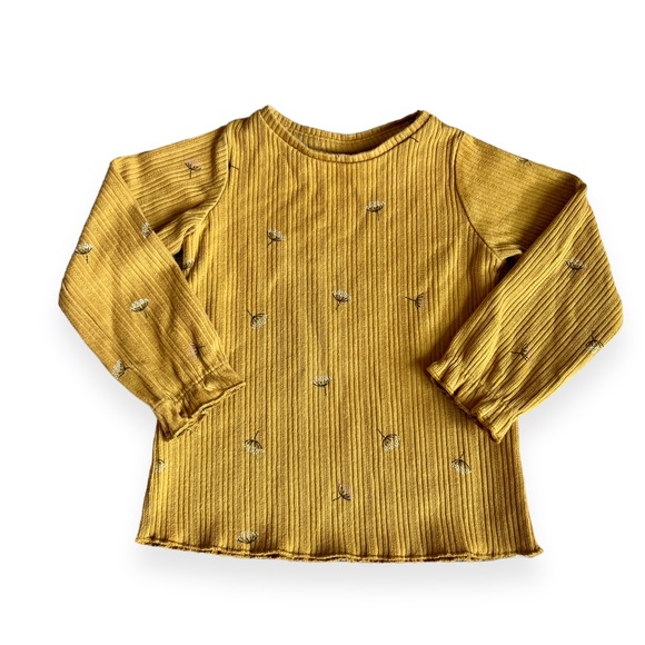 Zara Other - Zara Baby Ribbed Wildflower Top 9-12m